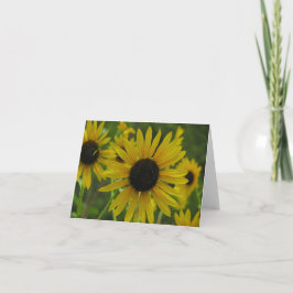 Wild kaart van de Nota van Zonnebloemen/Wenskaart