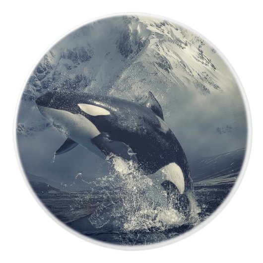 Wild Killer Whale Jumping Keramische Knop (Voorkant)