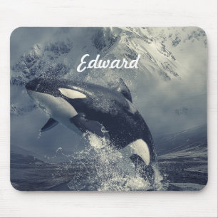Wild Killer Whale Jumping Muismat