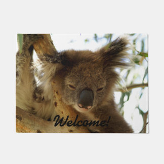 Wild koala slaapt op eucalyptusboom, Foto Deurmat