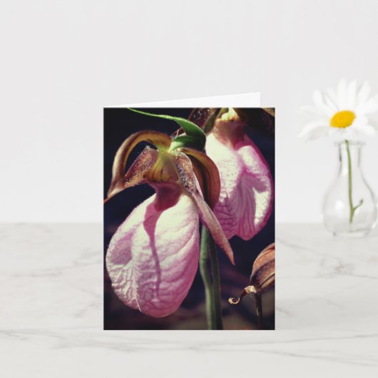 Wild Lady Slipper Orchideeën Bloem Gepersonaliseer Kaart (Kleine Plant)