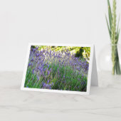 Wild Lavendel Portret Kaart (Voorkant)