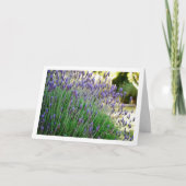 Wild Lavender Portret Kaart (Voorkant)