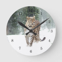 Wild Leopard in sneeuw