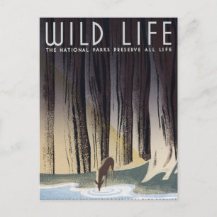 Wild Life Briefkaart