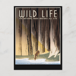Wild Life Briefkaart
