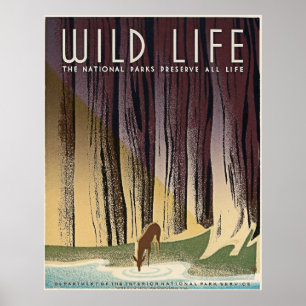 Wild Life - De nationale parken behouden het hele  Poster