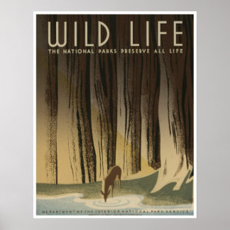 Wild Life: Nationale parkdiensten Poster