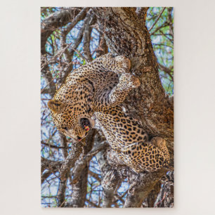Wild Life Safari Luipaard Zittend In Een Boom 1014 Legpuzzel