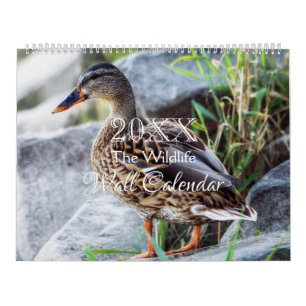 Wild Life Wall Agenda - HAMbWG Kalender