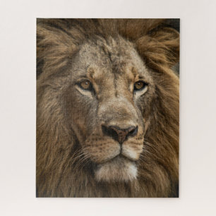 Wild Lion's Face Big Cat Wildlife Legpuzzel