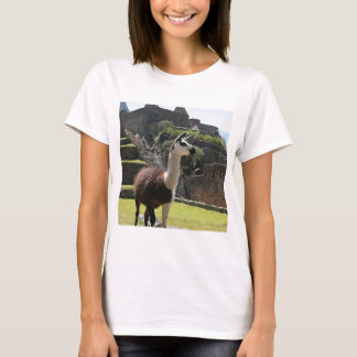 Wild Llama Near Ruins T-shirt