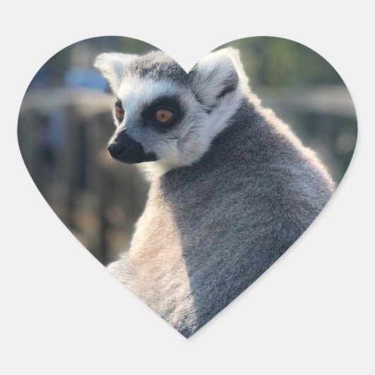 Wild Love: Voor Australië Hart Sticker (Voorkant)