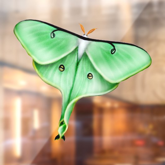 Wild Luna Moth Insect Bug Window Cling Raamsticker (Vel 2)