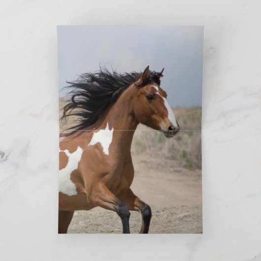 Wild Mare exécute une carte de voeux (Intérieur)