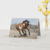 Wild Mare exécute une carte de voeux (Fleur jaune)
