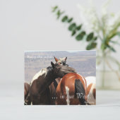 Wild Mare Hug, vooraf behandeld: Sec of the Interi Briefkaart (Staand voorkant)