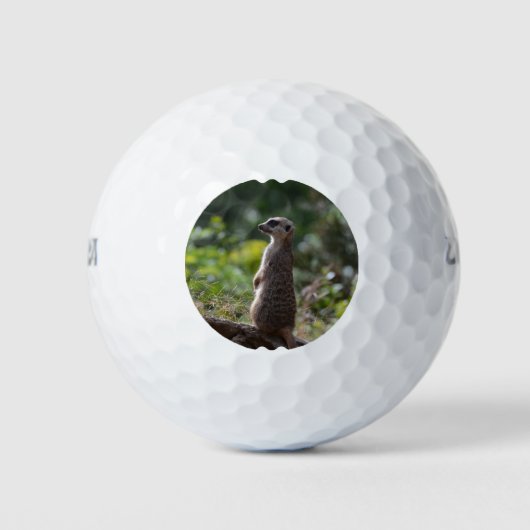 Wild Meerkat Golfballen (Voorkant)
