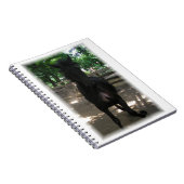 "Wild Mintaka !" Carnet (Côté Droit)