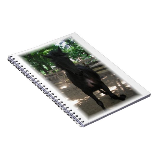 "Wild Mintaka !" Carnet (Côté Droit)