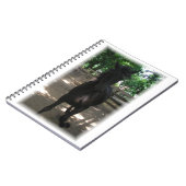 "Wild Mintaka !" Carnet (Côté gauche)