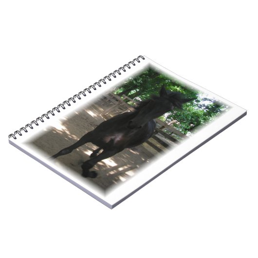 "Wild Mintaka !" Carnet (Côté gauche)