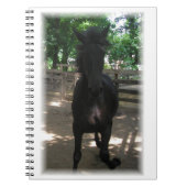 "Wild Mintaka !" Carnet (Devant)