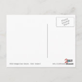 Wild Mongolian horse, Gobi Desert Briefkaarten (Achterkant)