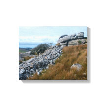 Wild Moors Bodmin Moor Cornwall England