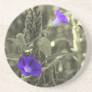 Wild Morning Glories Dessous de verre Floral