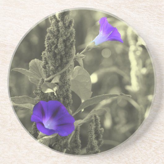 Wild Morning Glories Dessous de verre Floral (Devant)