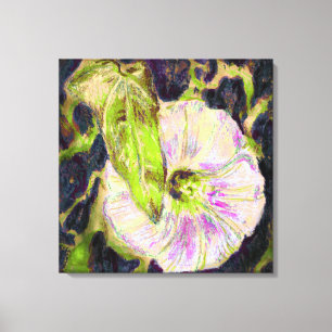 Wild Morning Glory door Alexandra Cook Canvas Afdruk