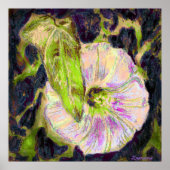 Wild Morning Glory door Alexandra Cook Poster (Voorkant)