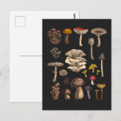 Wild Mushrooms on graphite black Briefkaart (Voorkant / Achterkant)