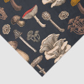 Wild Mushrooms on graphite black Tissuepapier (Detail)