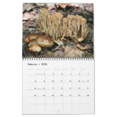 Wild Mushrooms Photography  Kalender (Feb 2026)