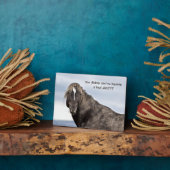 Wild Mustang Fotoplaat (Zijkant)