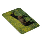 Wild Mustang Horse in Flowers Magneet (Rechterzijde)