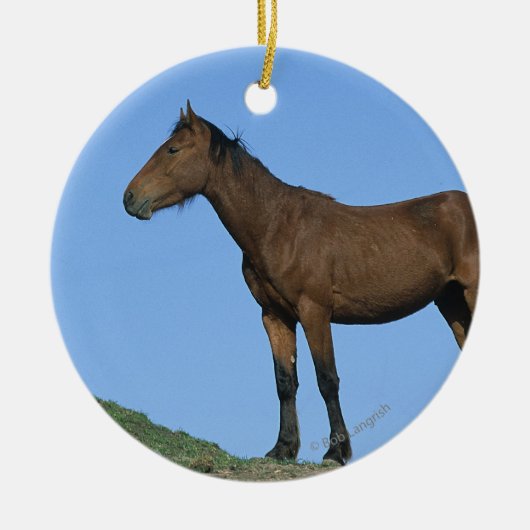 Wild Mustang Horse Keramisch Ornament (Voorkant)
