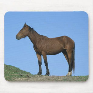 Wild Mustang Horse Muismat