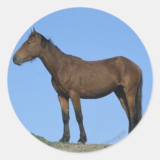 Wild Mustang Horse Ronde Sticker (Voorkant)