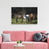 Wild Mustang Horses 1 Canvas Afdruk (Insitu (Woonkamer))