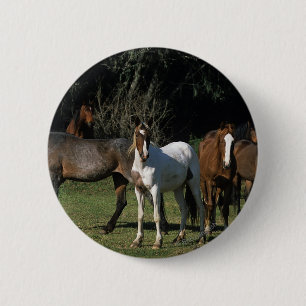Wild Mustang Horses 1 Ronde Button 5,7 Cm