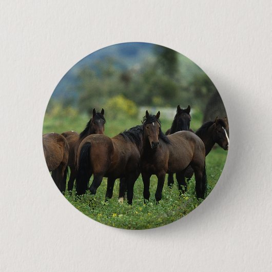 Wild Mustang Horses 3 Ronde Button 5,7 Cm (Voorkant)