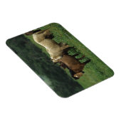 Wild Mustang Horses 4 Magneet (Rechterzijde)