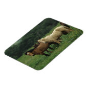 Wild Mustang Horses 4 Magneet (Linkerzijde)