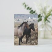 Wild Mustang Horses 5 Briefkaart (Staand voorkant)