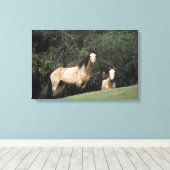 Wild Mustang Horses 6 Canvas Afdruk (Insitu (Houten vloer))