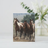 Wild Mustang Horses 7 Briefkaart (Staand voorkant)
