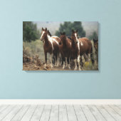 Wild Mustang Horses 7 Canvas Afdruk (Insitu (Houten vloer))